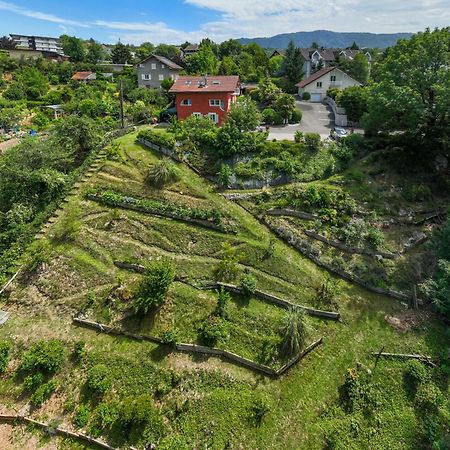 Apartment With Garden & Terrasse Very Quiet Тонон-ле-Бен Екстер'єр фото